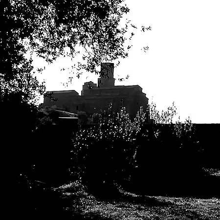 La Terrazza *